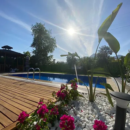 Eyluel Villa
